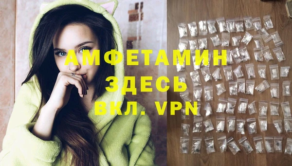 шишки Алексеевка